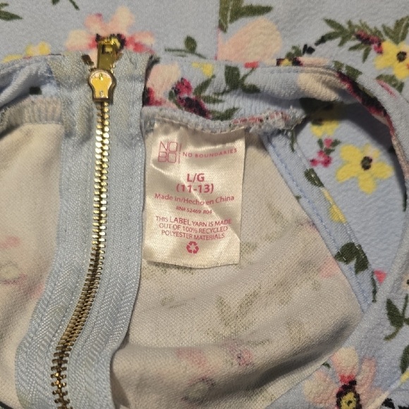 No Boundaries Floral Midi Dress in Blue and Pink - Picture 3 of 3